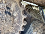 Undercarriage with Zębatki