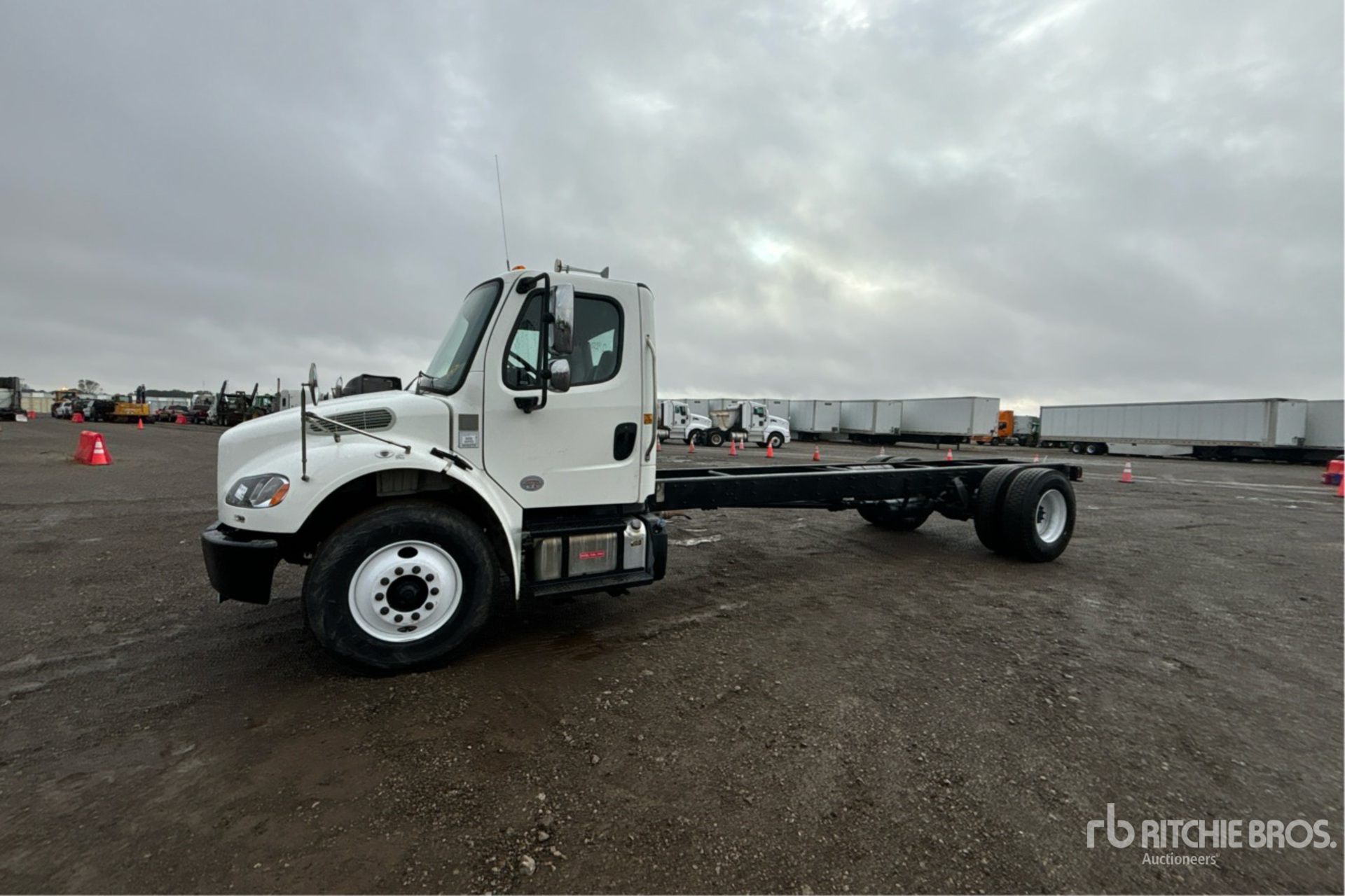 General Appearance with Spin