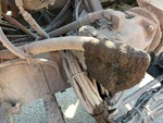 Distributor Body with Hoses
