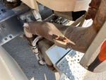 Engine with Exhaust System