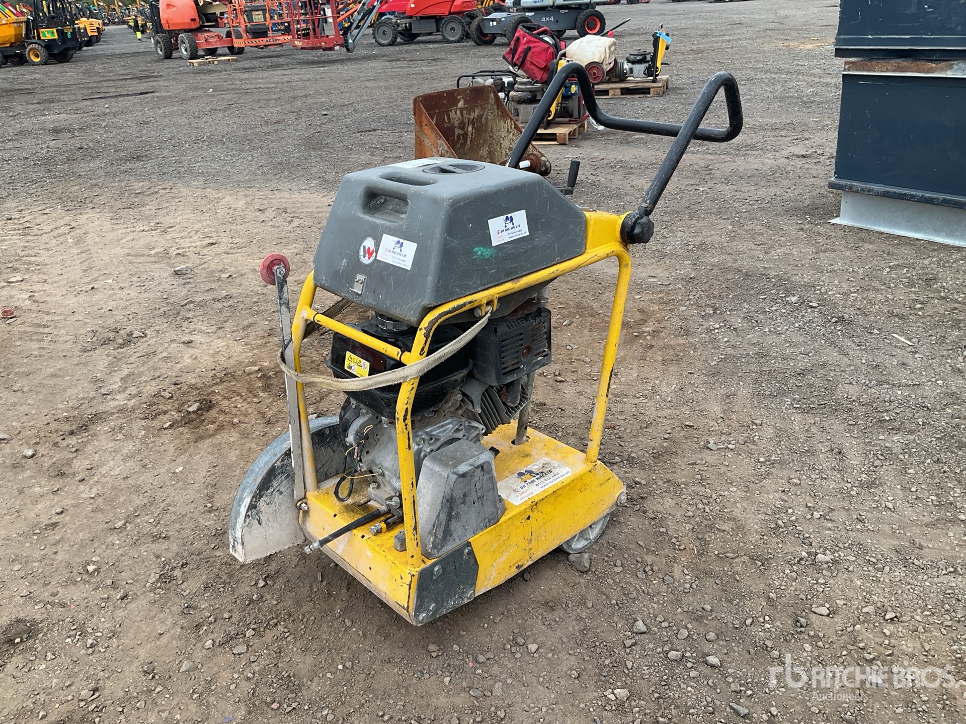 General Appearance with Glamour Shot