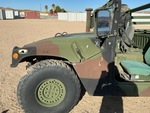 General Appearance with Paint