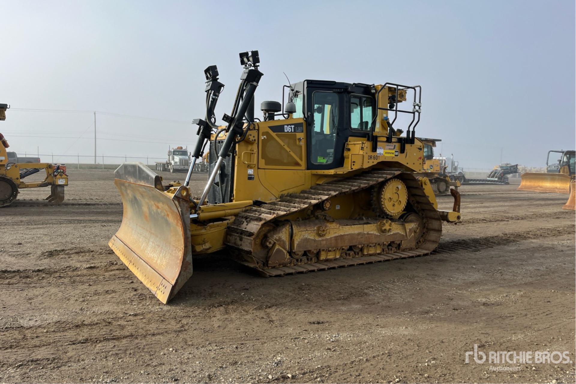 General Appearance with Spin