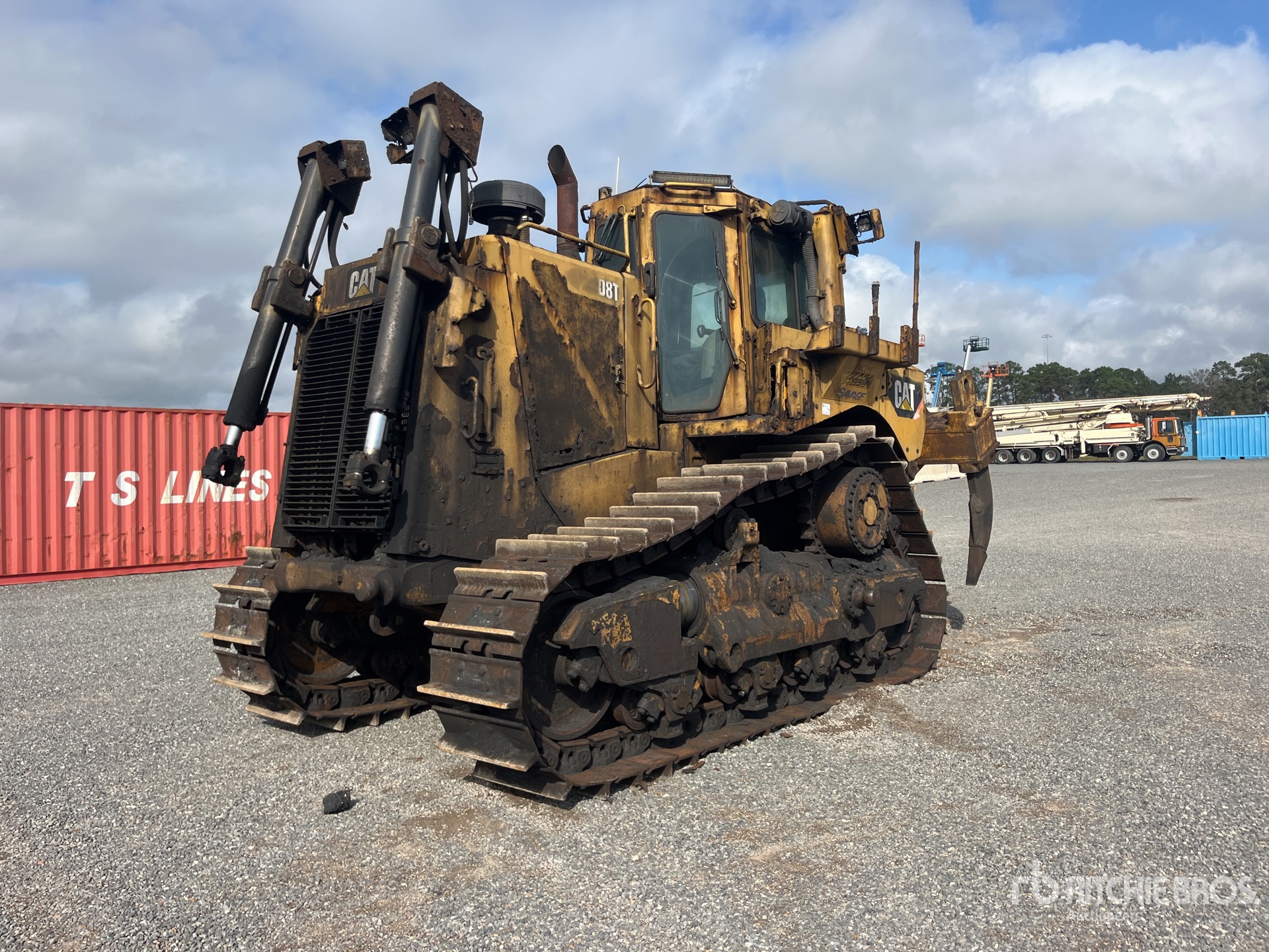 General Appearance with Spin