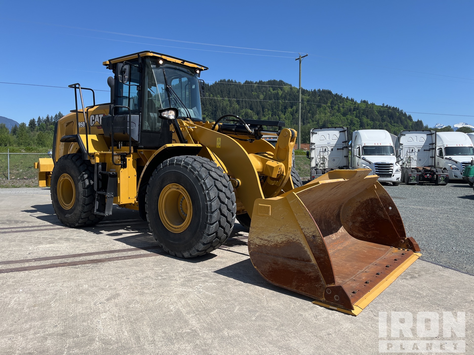 General Appearance with Zdjęcie, prawy górny róg