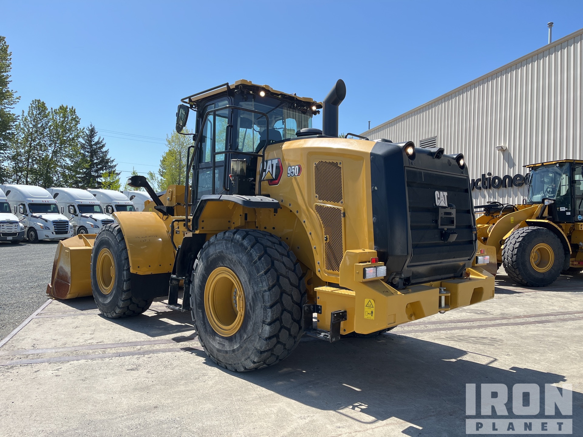 General Appearance with Zdjęcie, lewy dolny róg