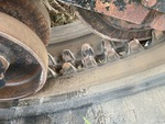 Rubber Track Undercarriage with