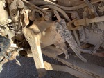 Underbody with 