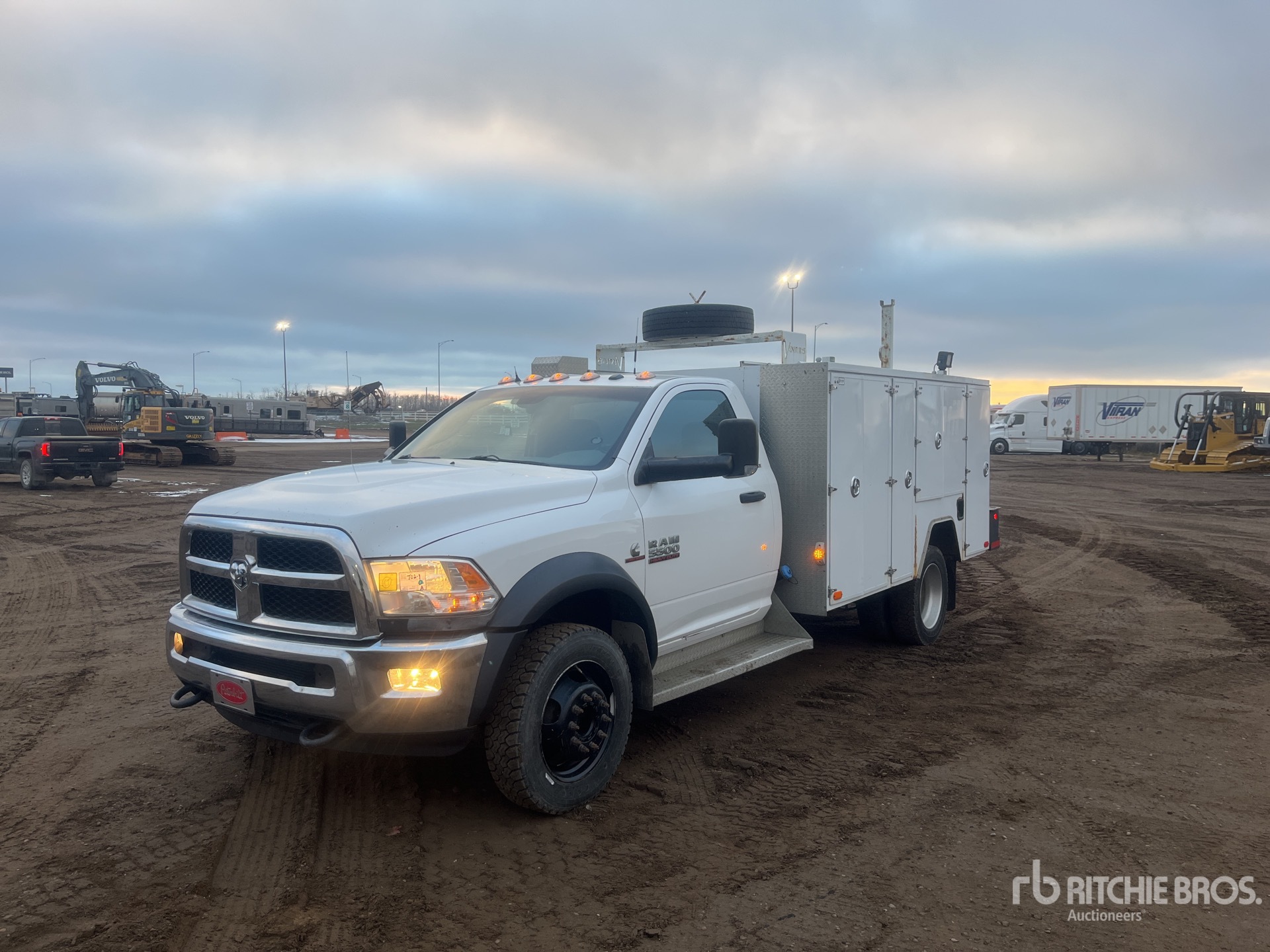 General Appearance with Spin