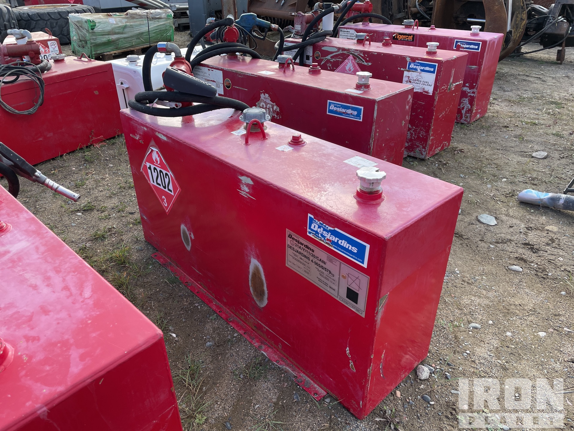 General Appearance with Glamour Shot