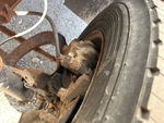 Brakes with 