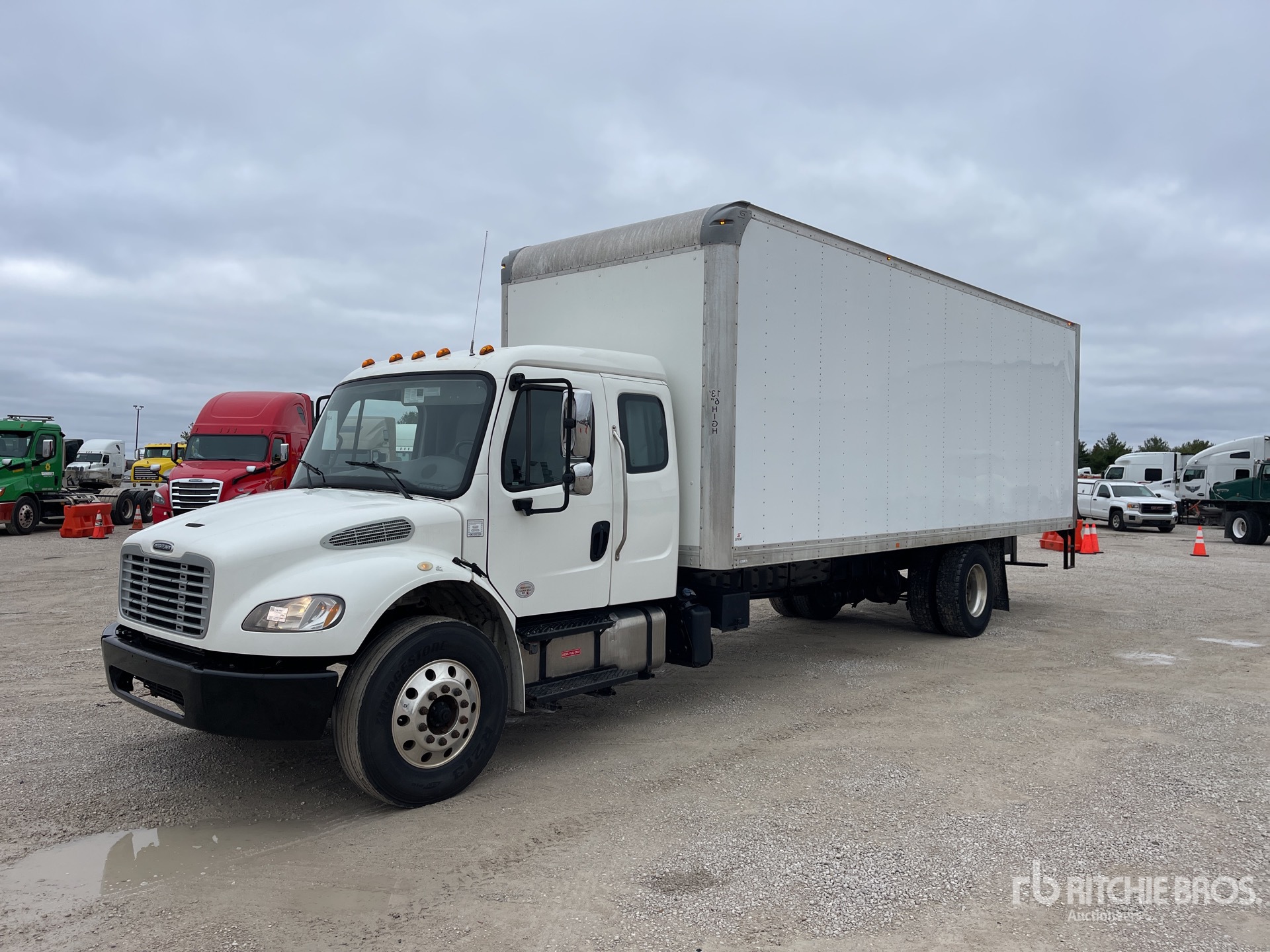 General Appearance with Spin