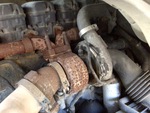 Engine with Exhaust System