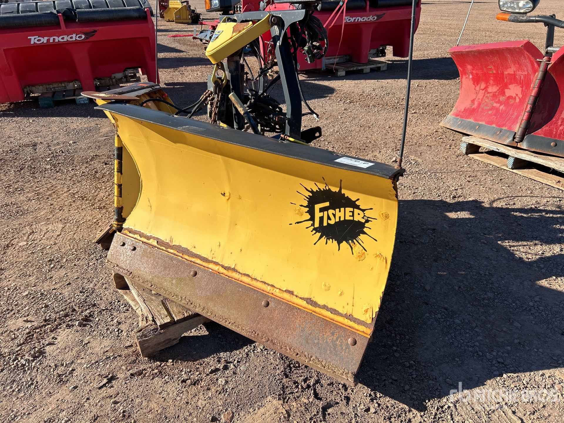 General Appearance with Foto, angolo anteriore sinistro