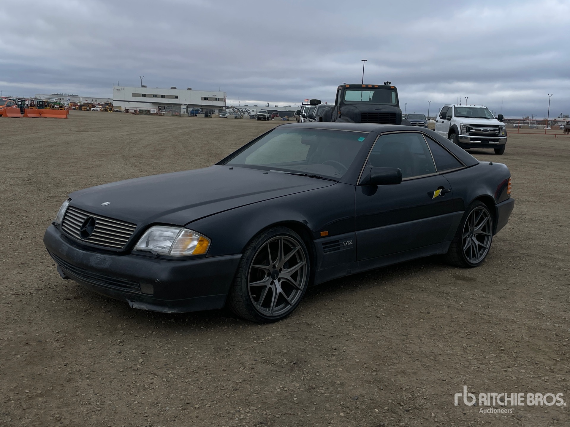 General Appearance with Spin