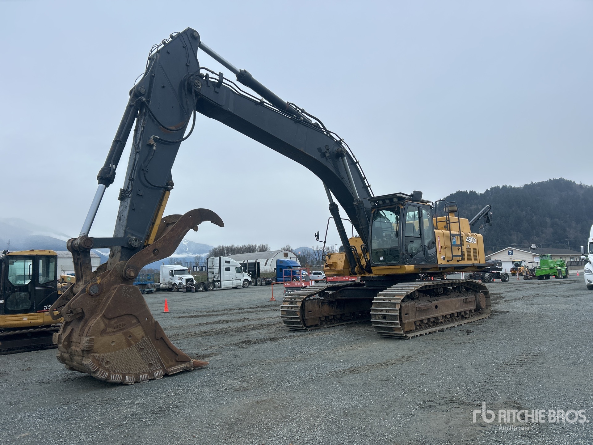 General Appearance with Spin