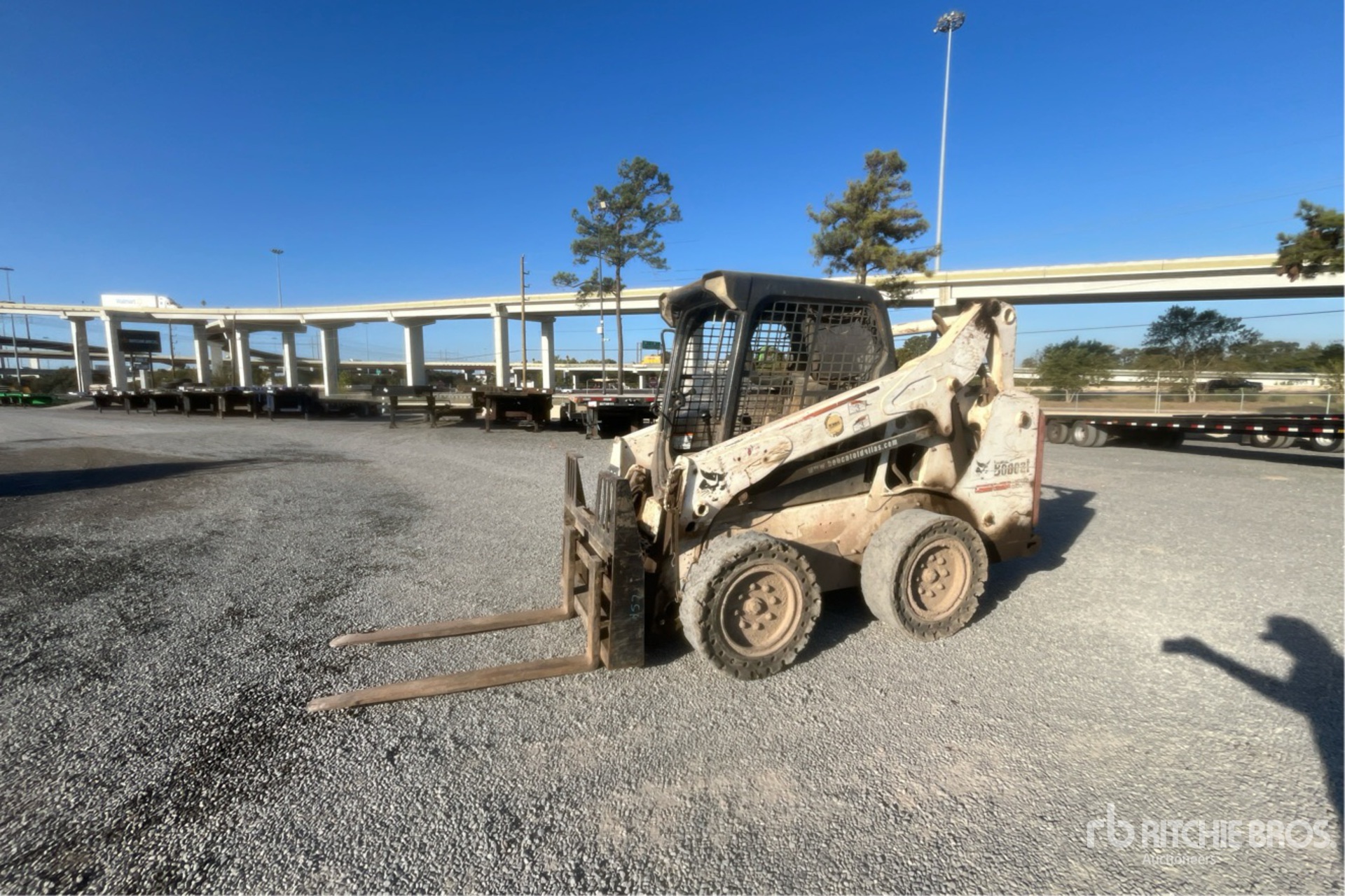 General Appearance with Spin