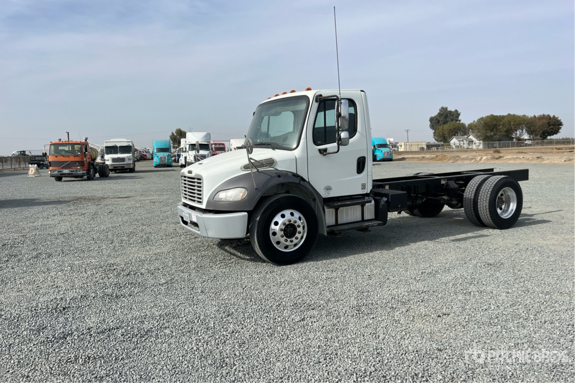 General Appearance with Spin