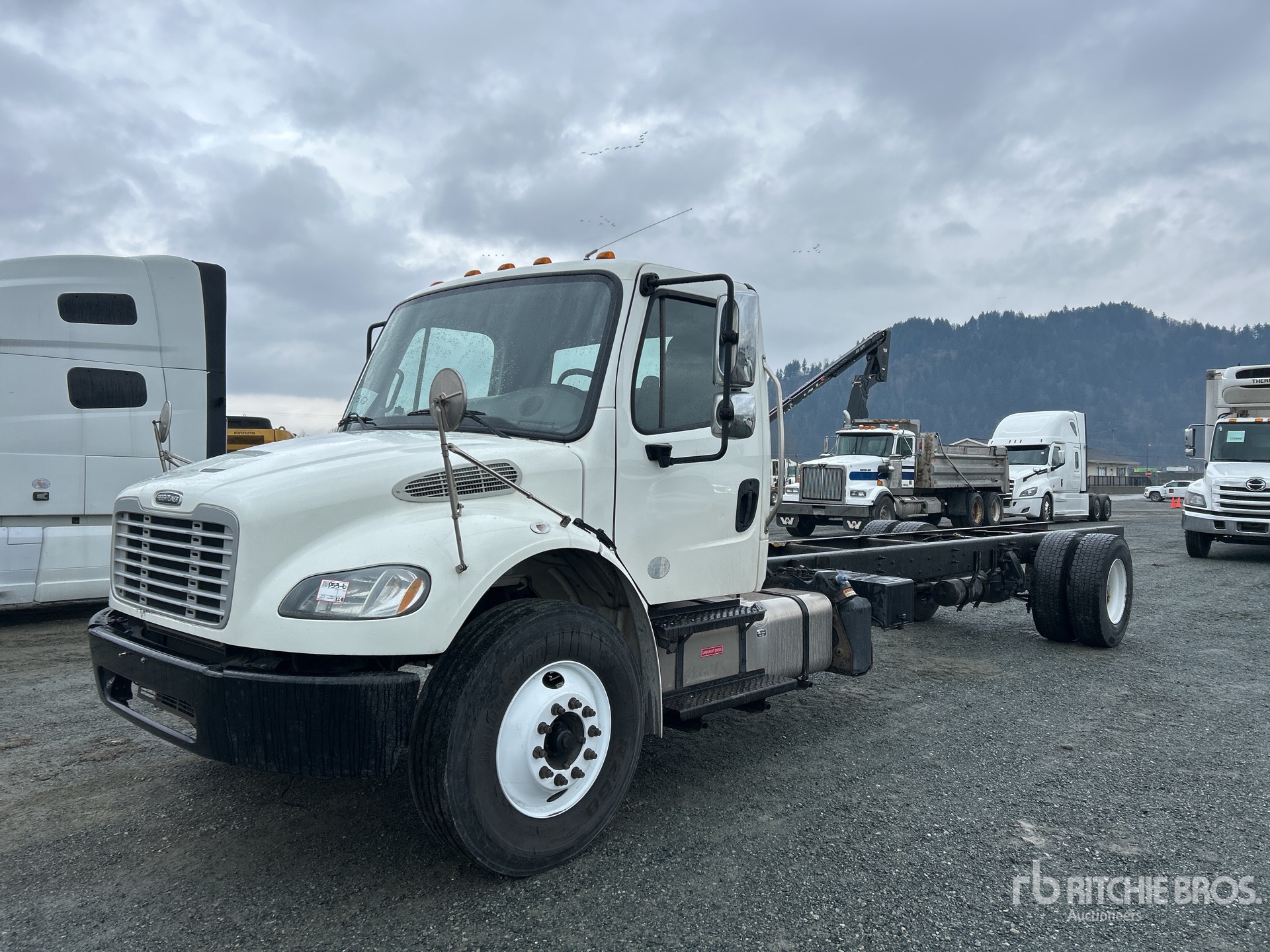 General Appearance with Spin