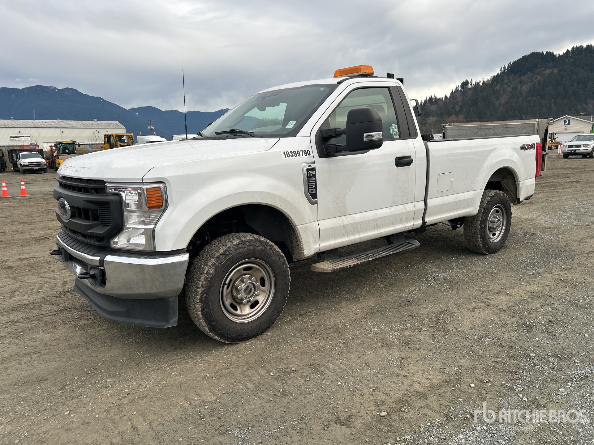 General Appearance with Spin