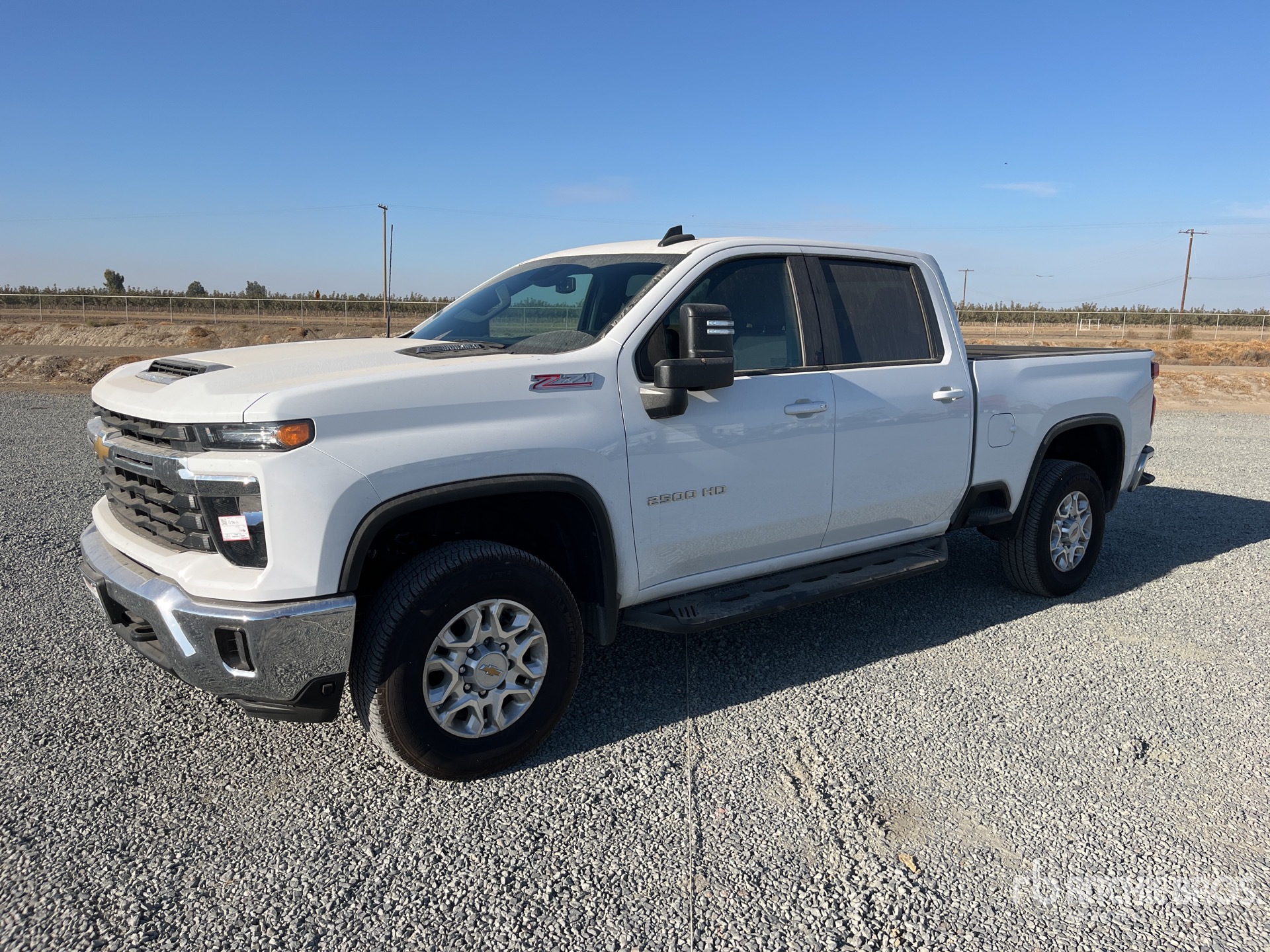 General Appearance with Spin