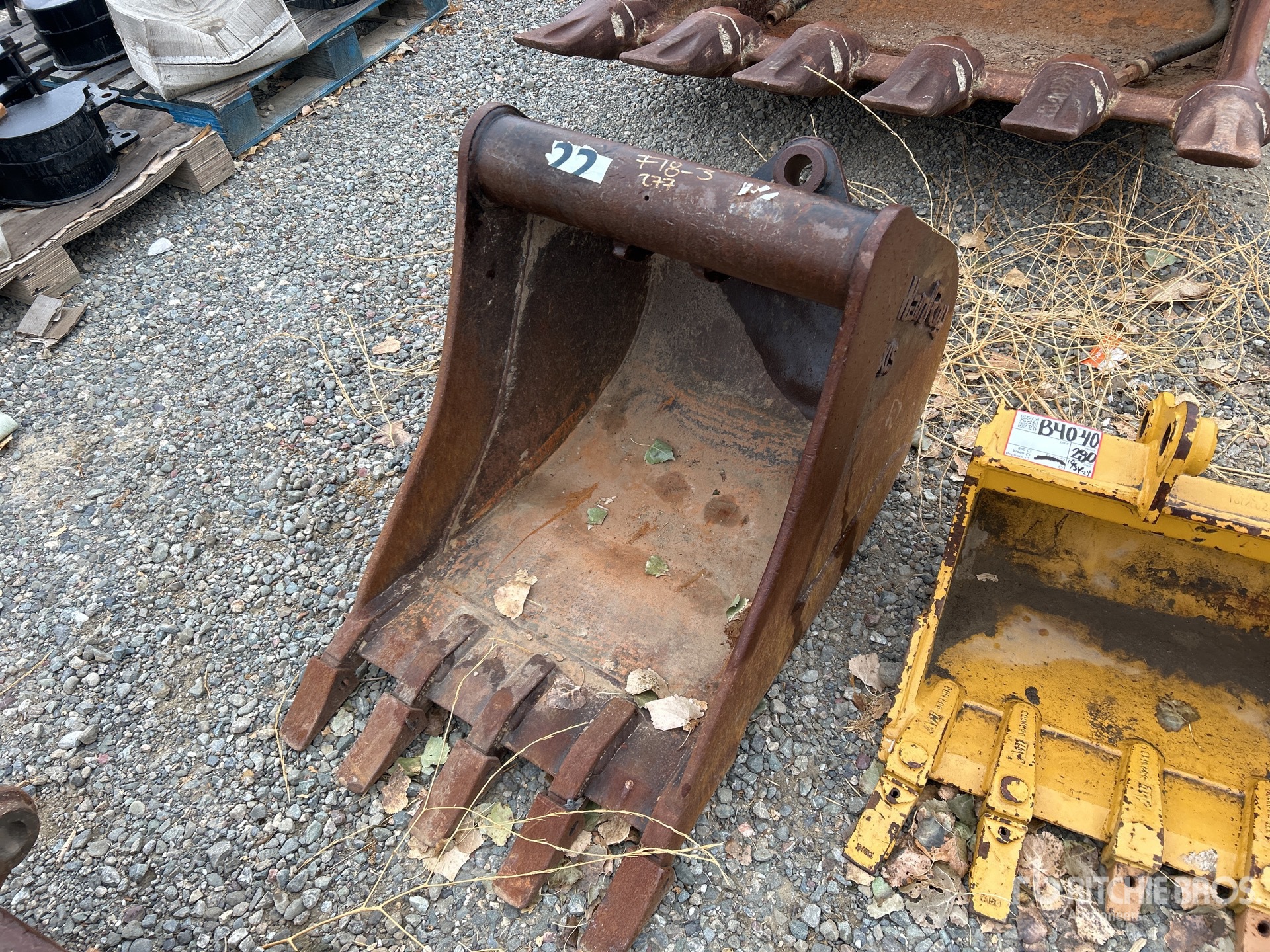 General Appearance with Foto, angolo anteriore sinistro