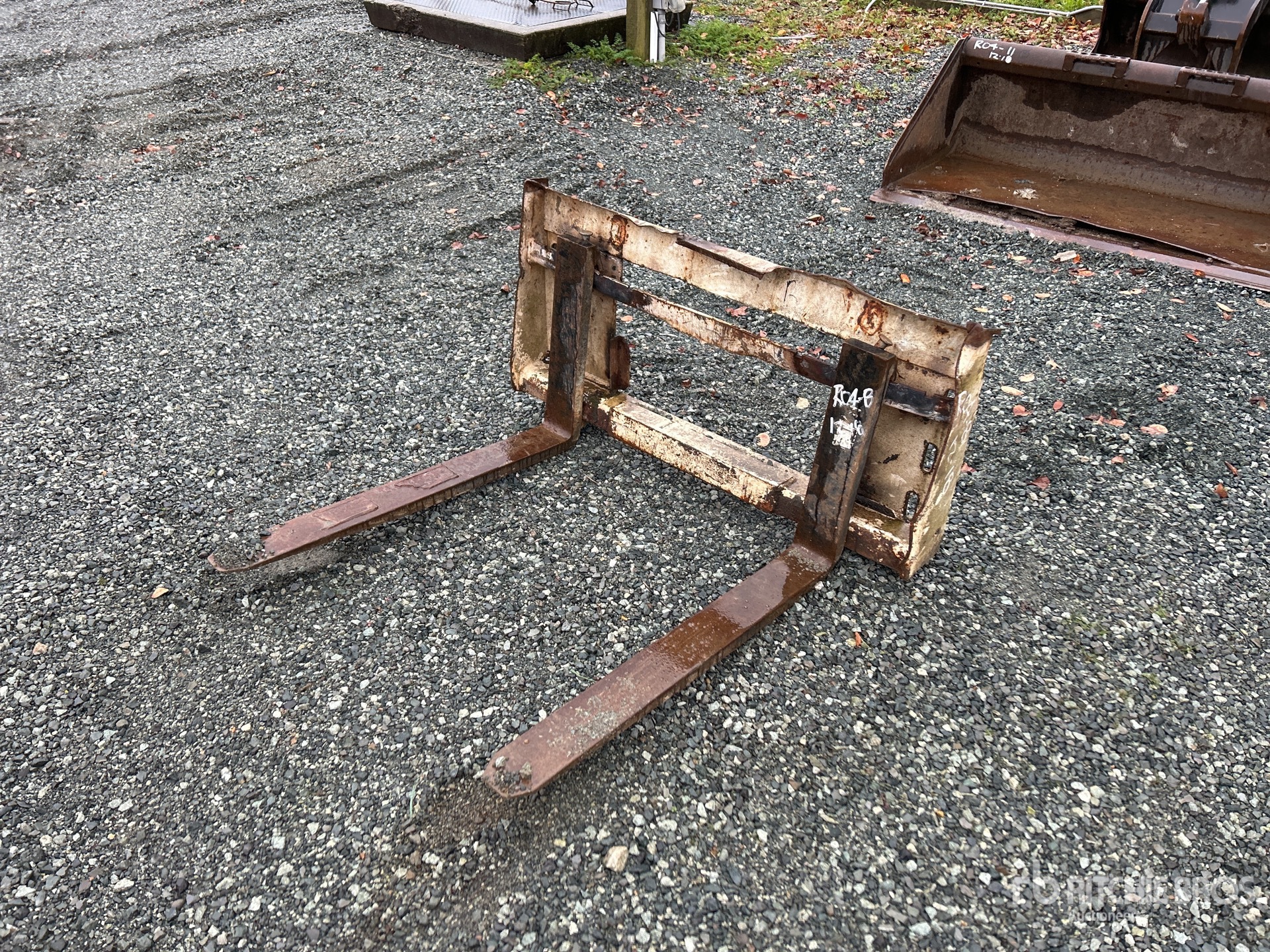 General Appearance with Foto, angolo anteriore sinistro