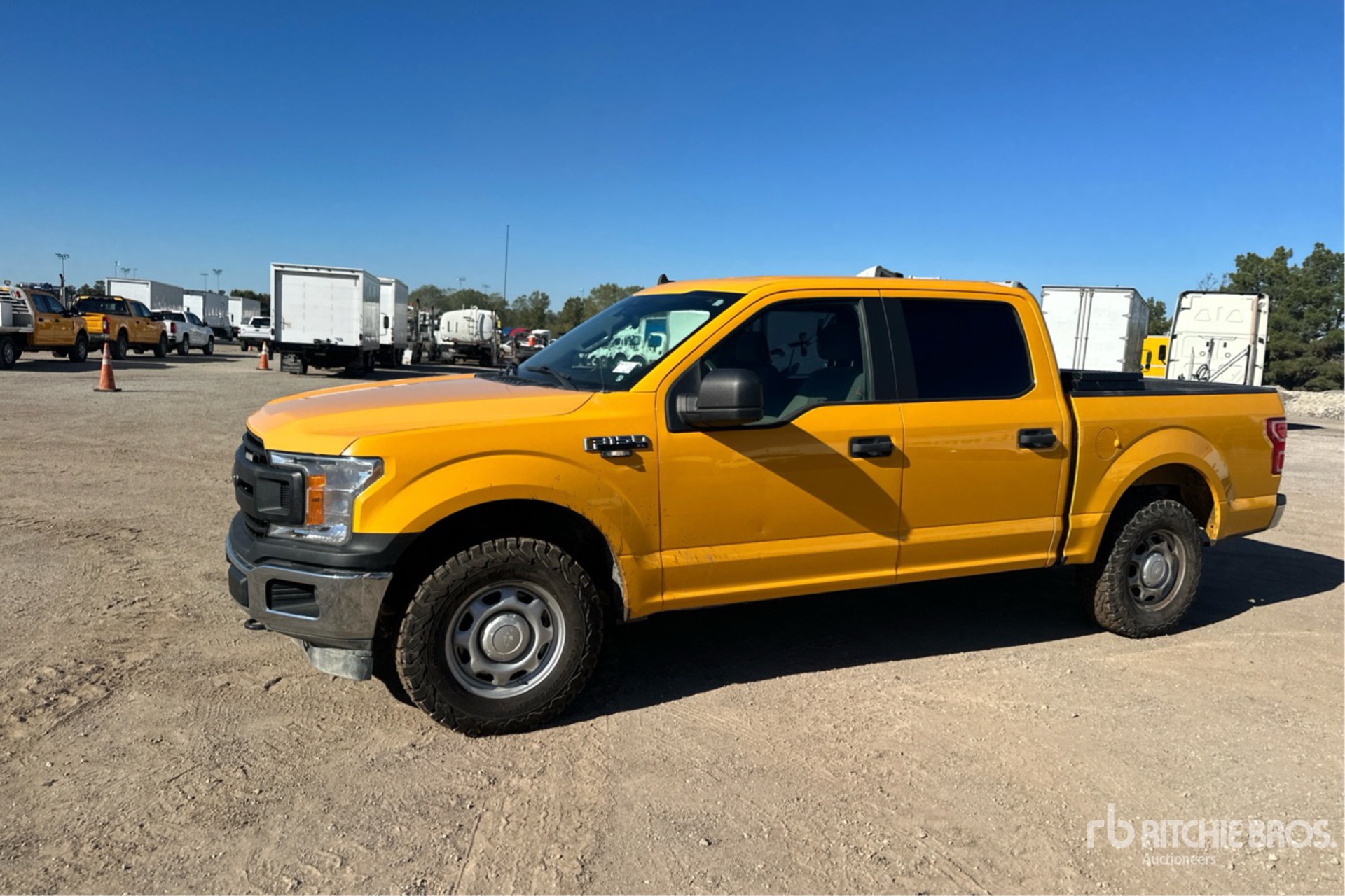 General Appearance with Spin