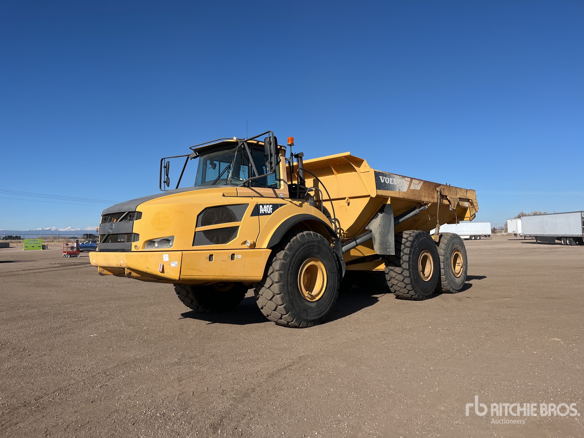 General Appearance with Spin