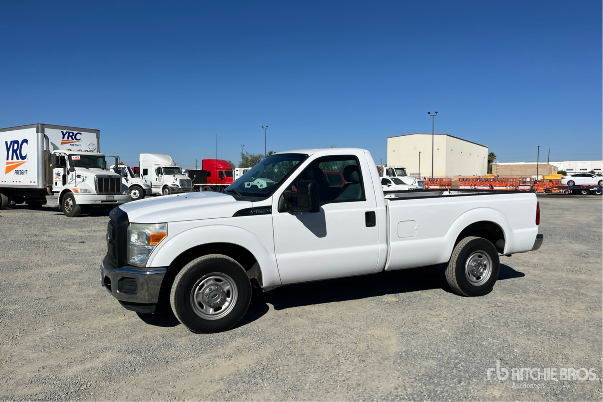 General Appearance with Spin