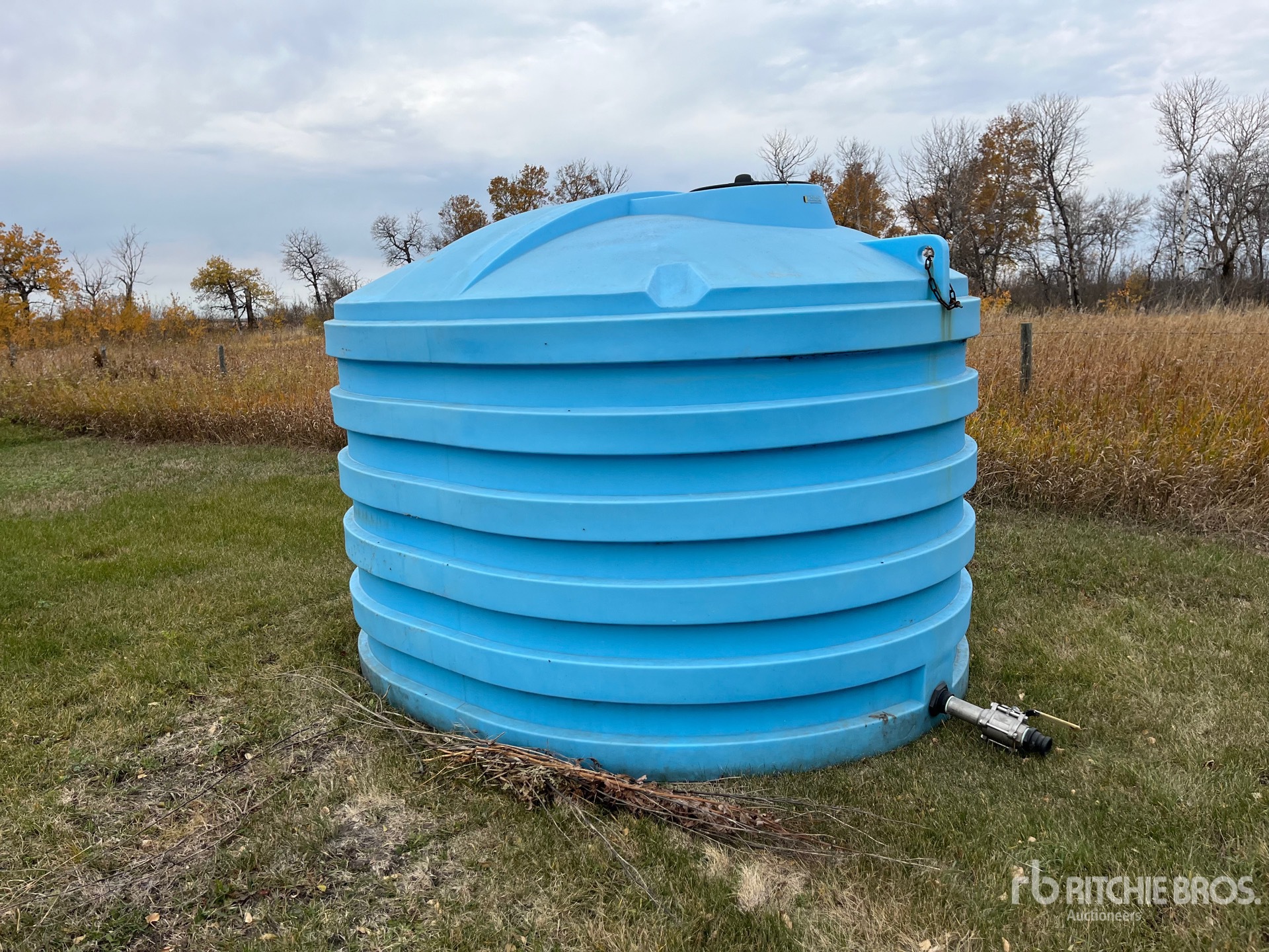 Aspect général with Image, coin avant gauche