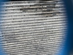 Engine with Radiator