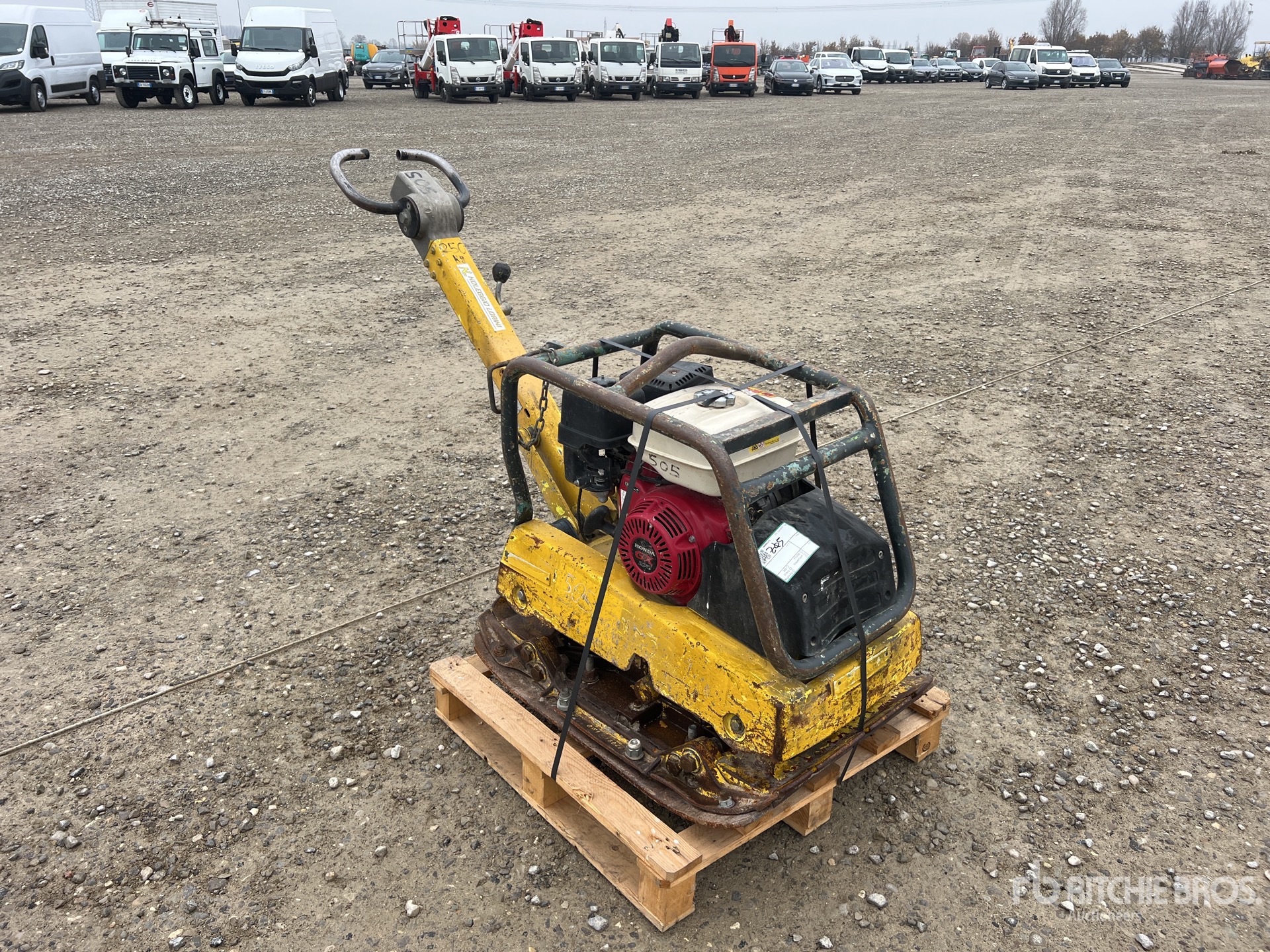 General Appearance with