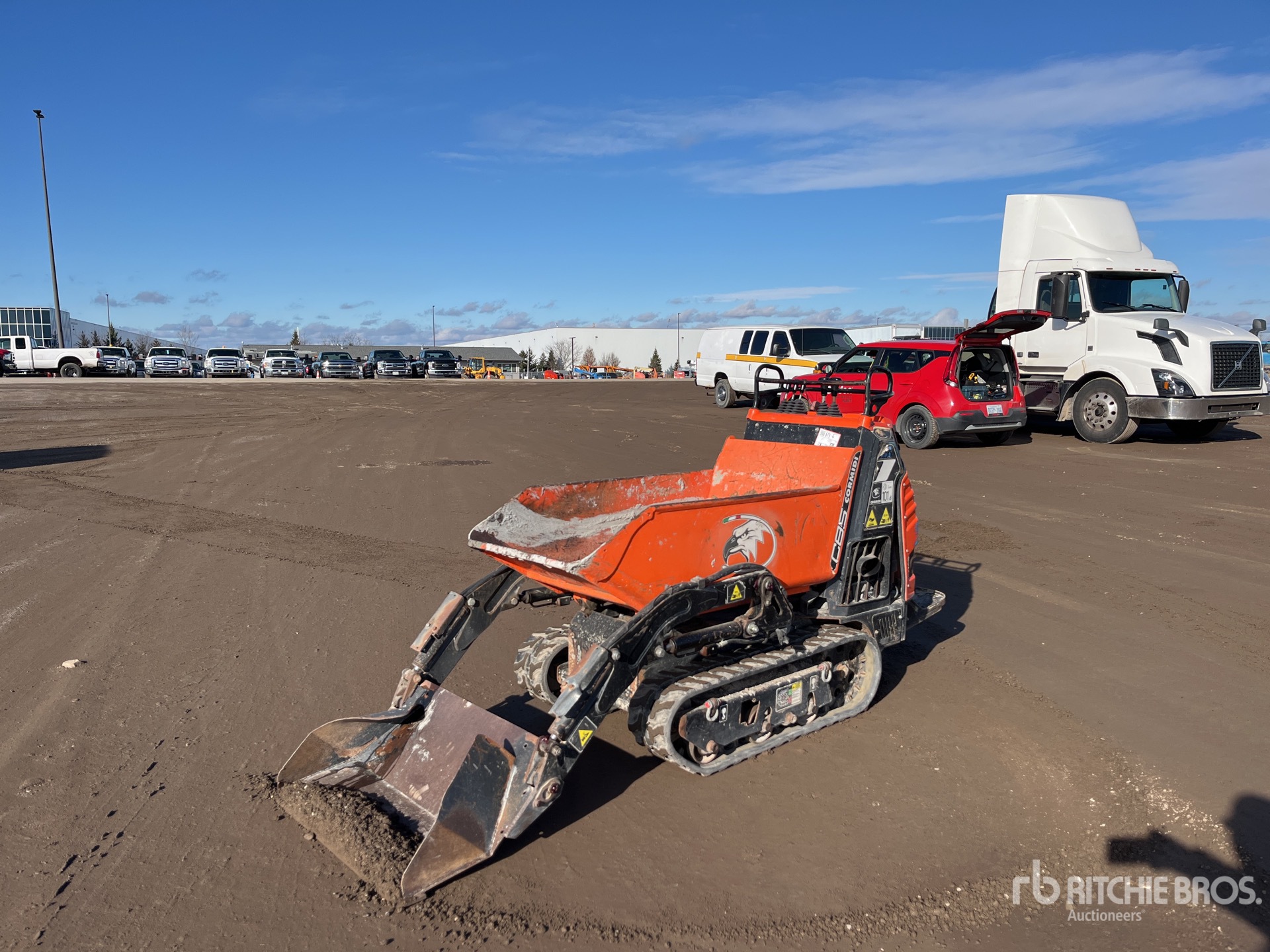 General Appearance with Spin