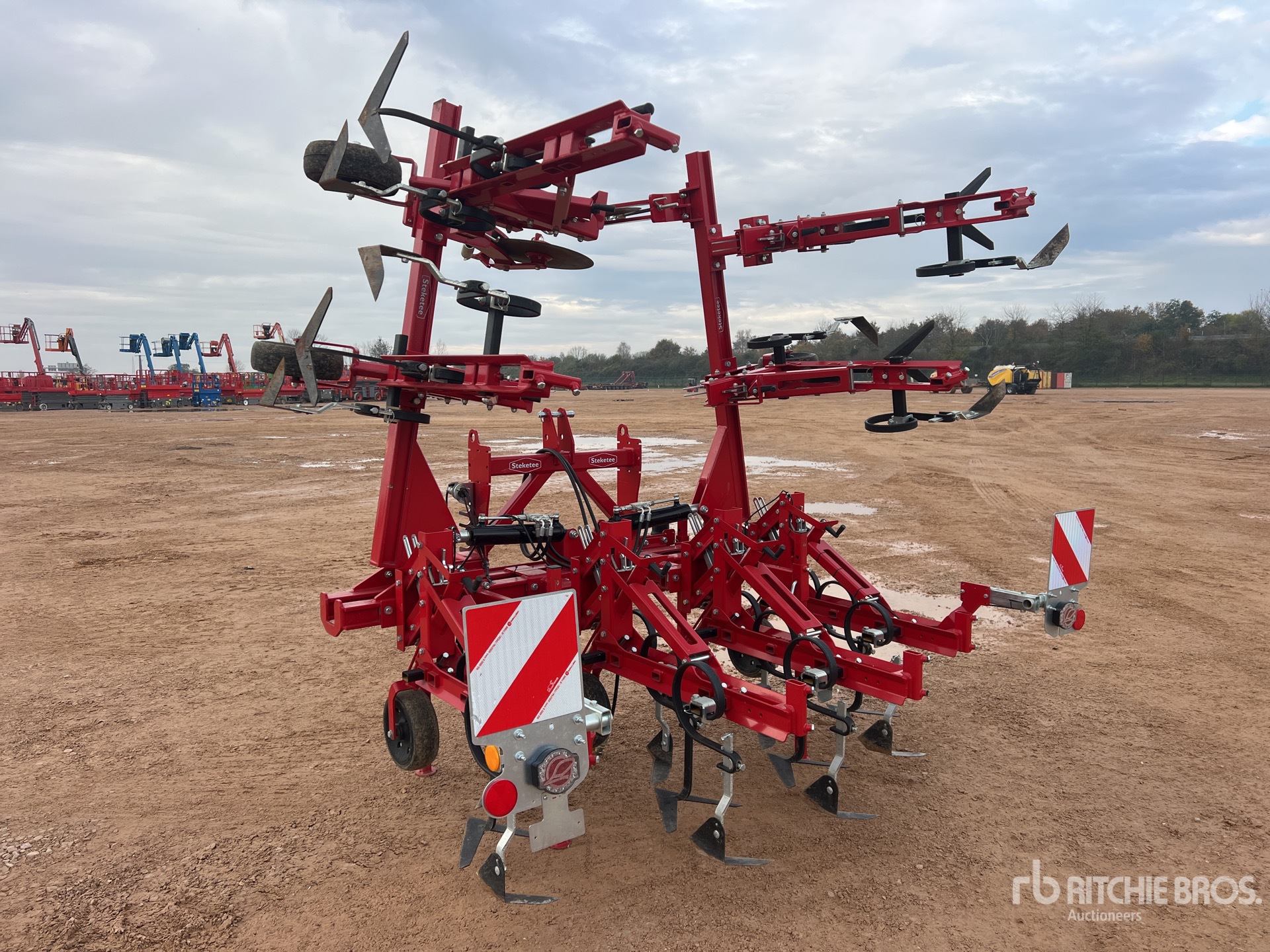 General Appearance with 