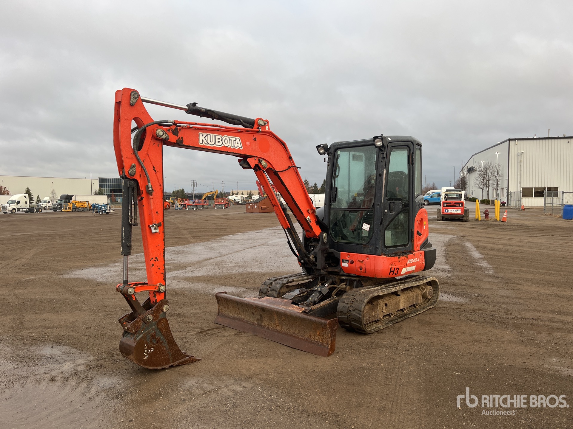 General Appearance with Spin