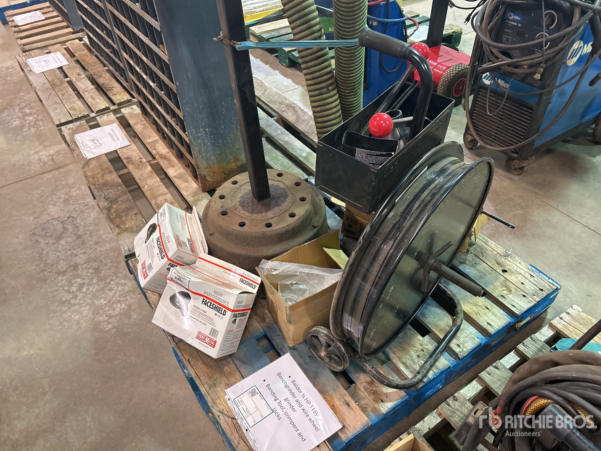 General Appearance with