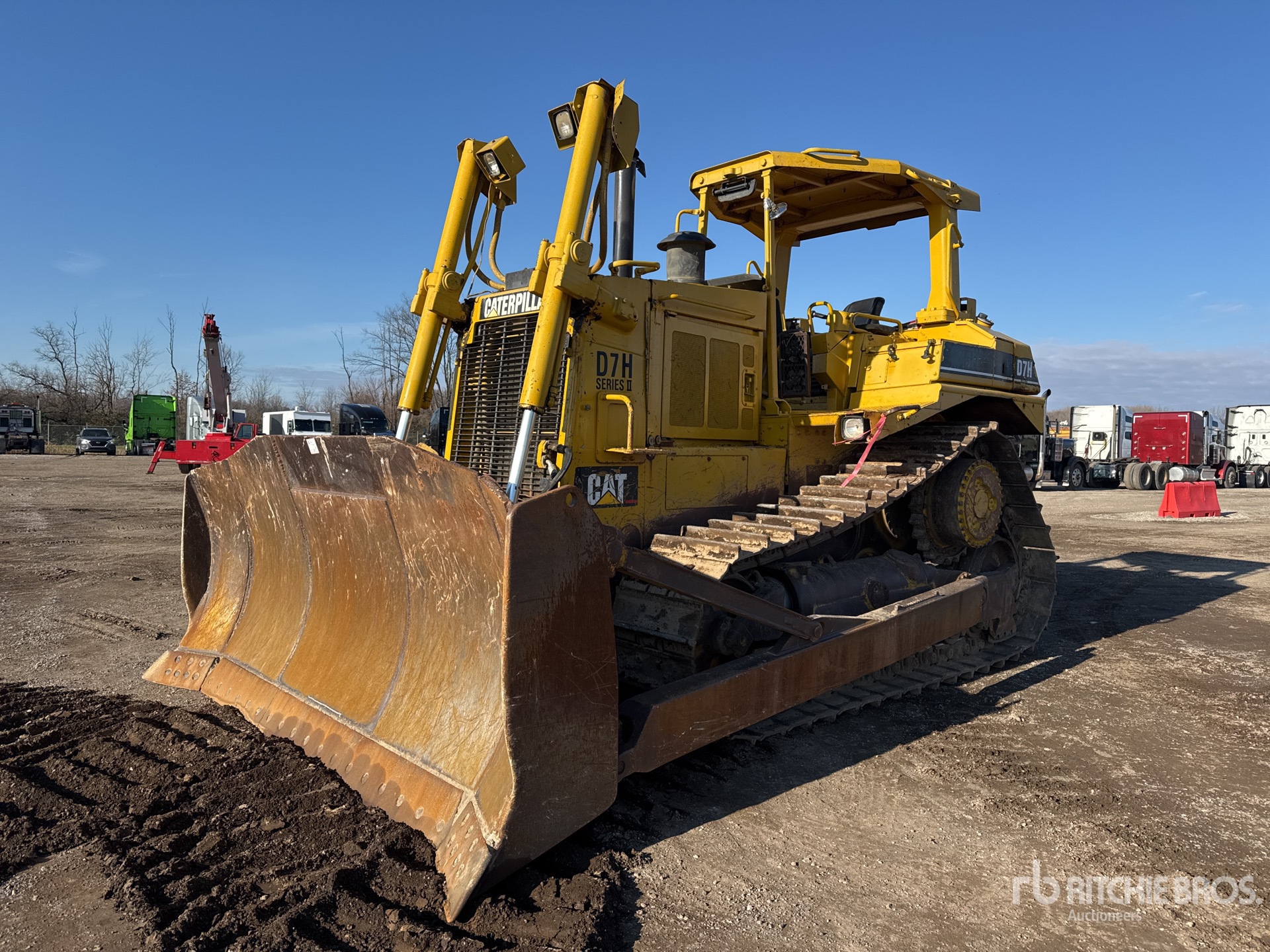 General Appearance with Spin