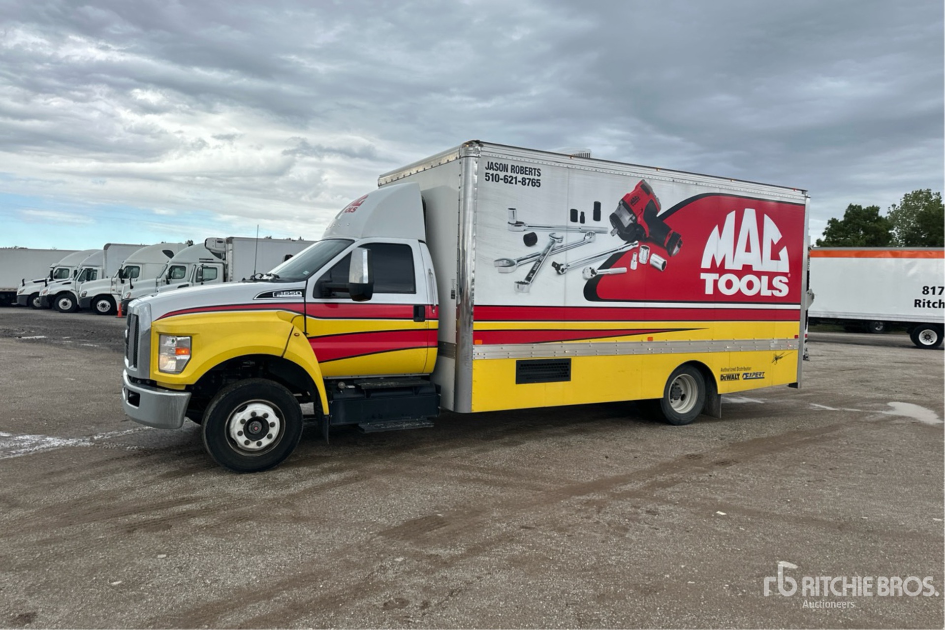 General Appearance with Spin