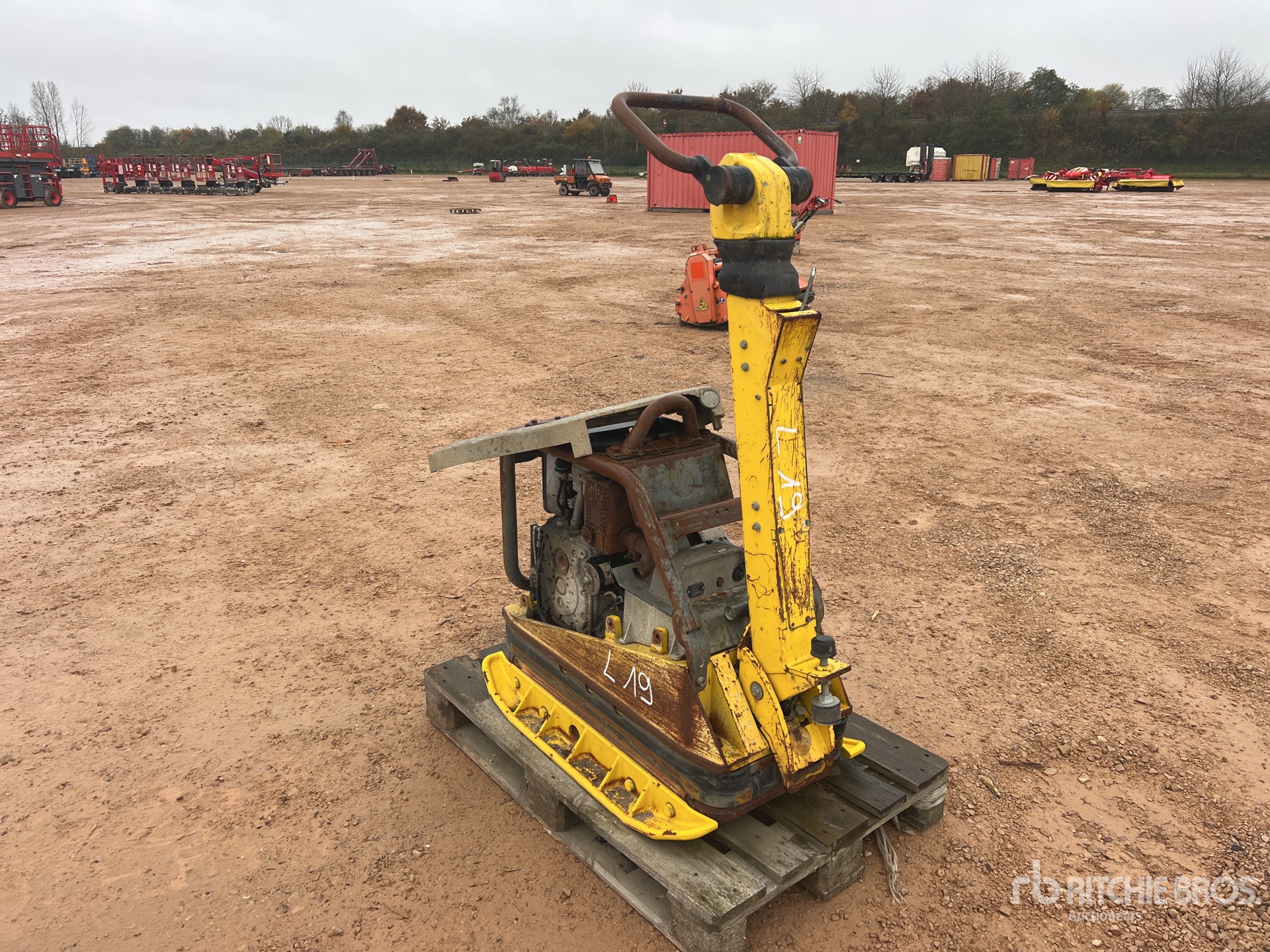 General Appearance with