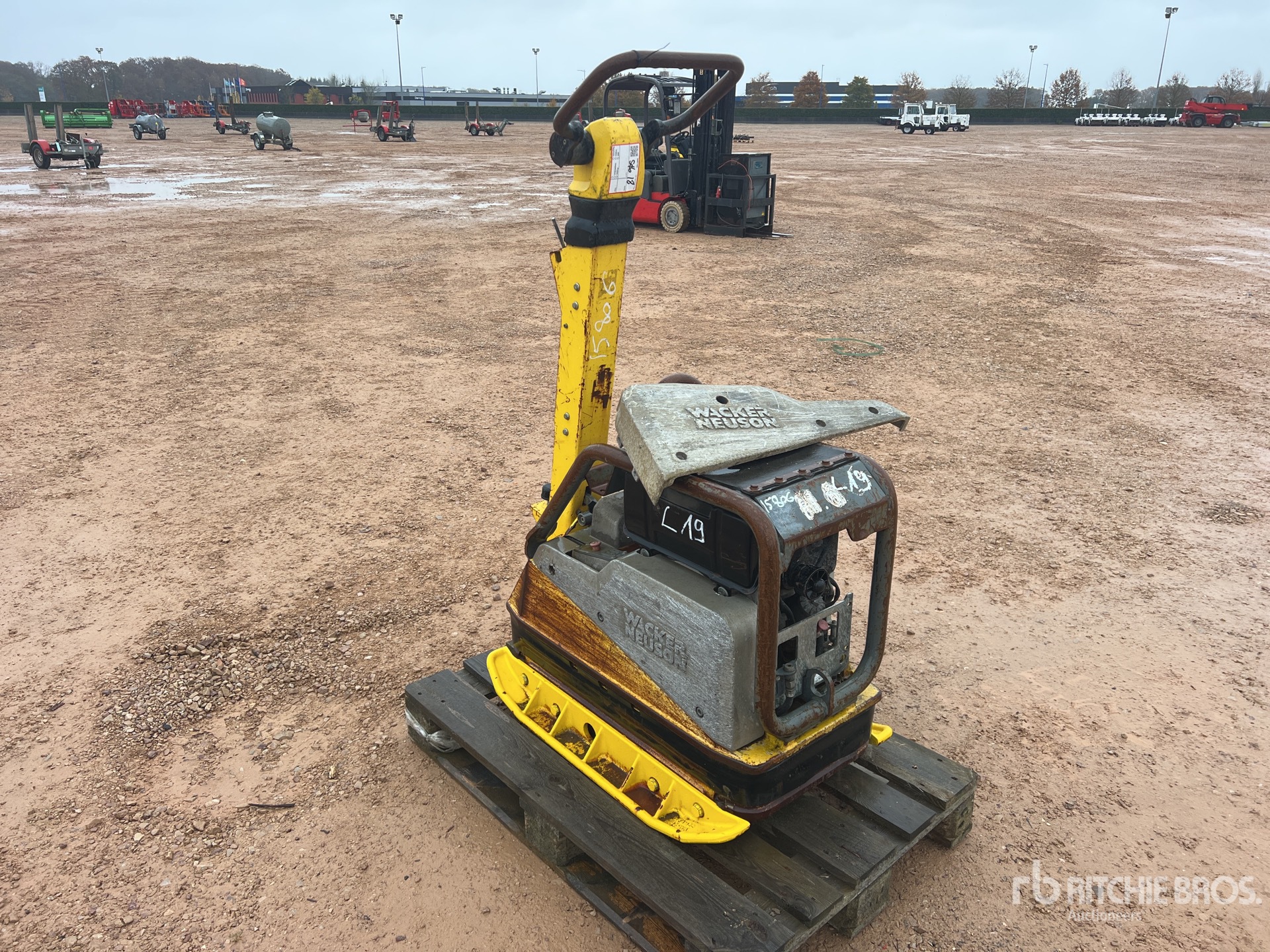 General Appearance with