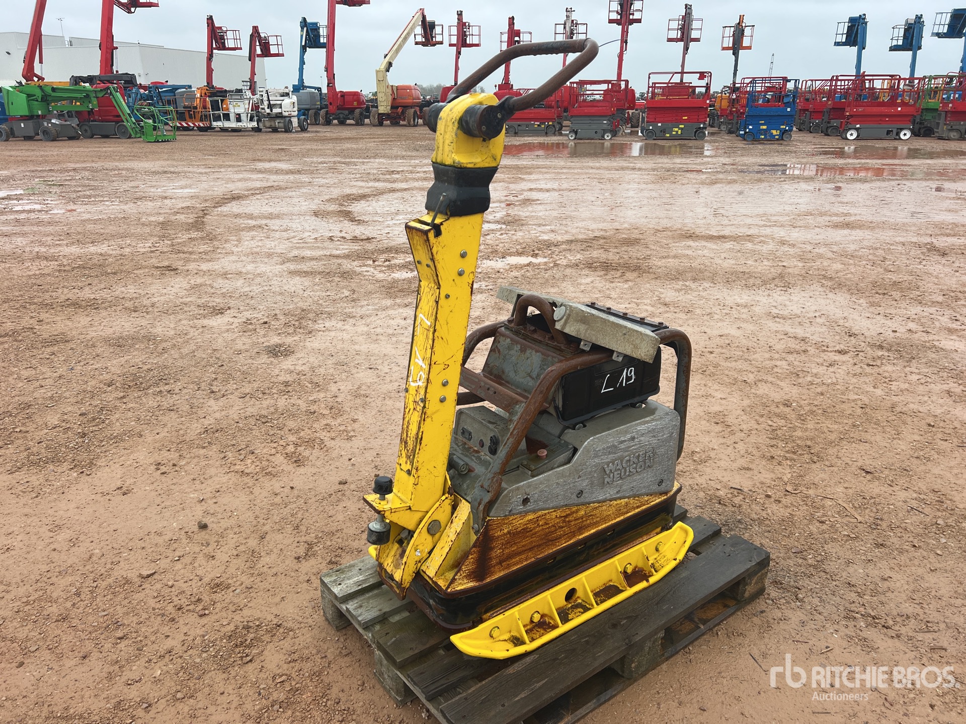 General Appearance with