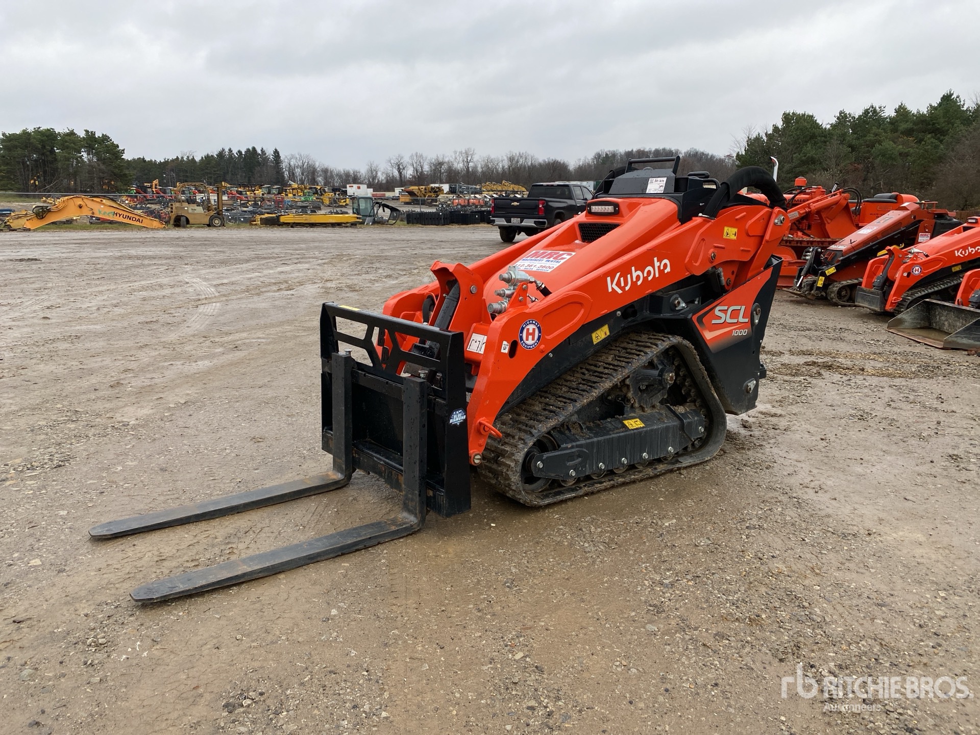 General Appearance with Spin