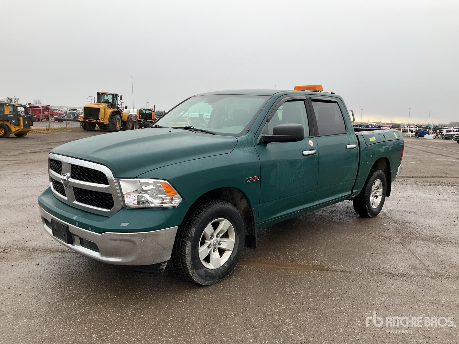 General Appearance with Spin