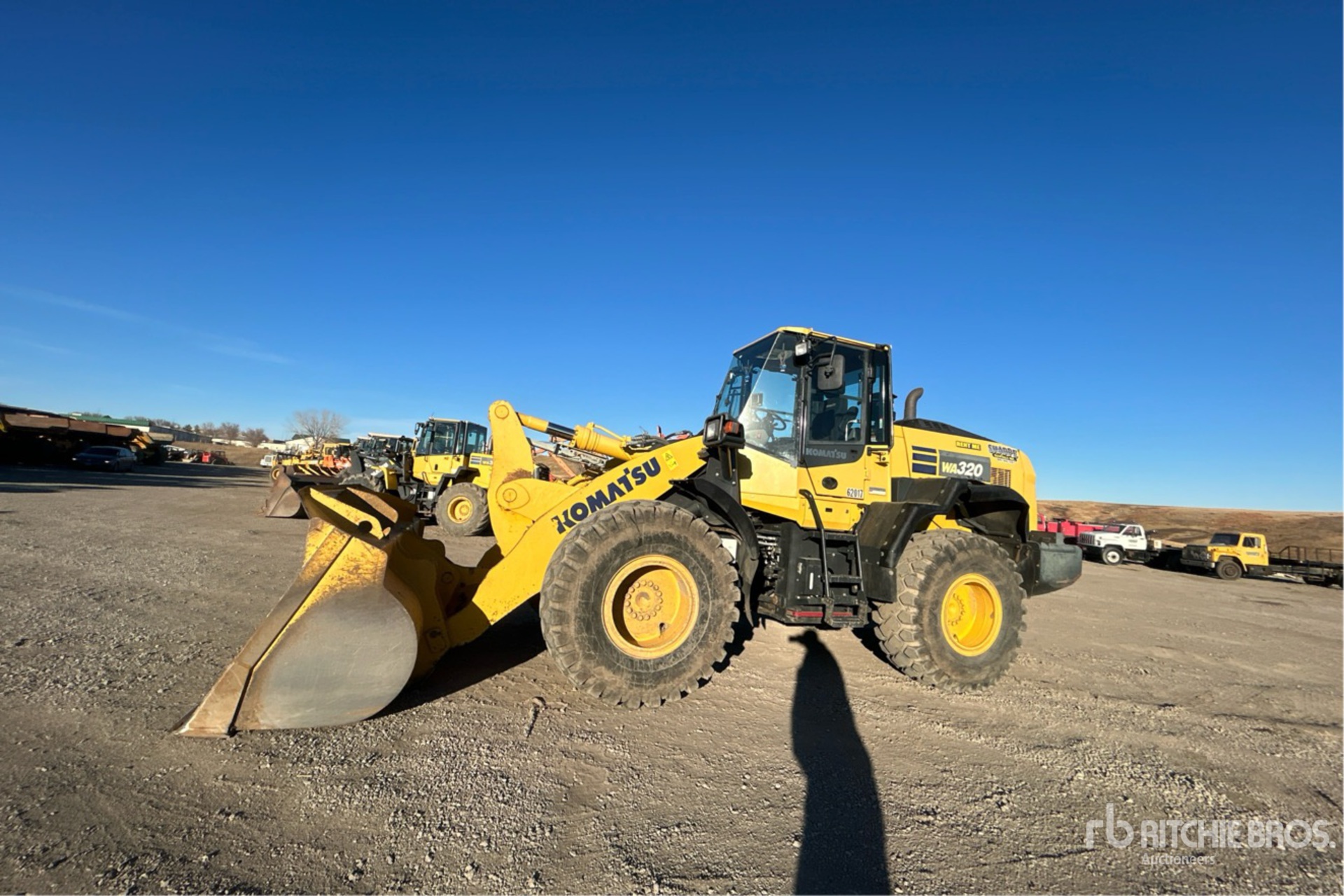 General Appearance with Spin