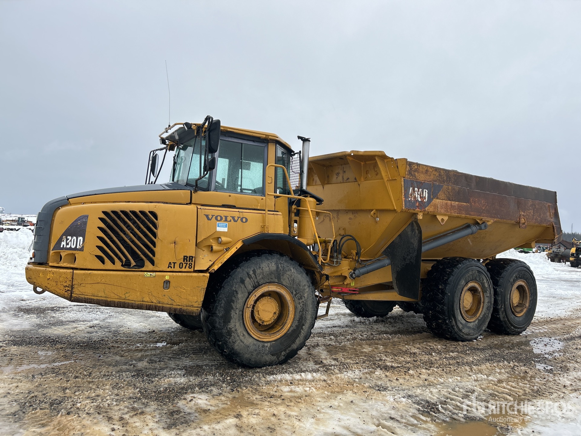 General Appearance with Spin