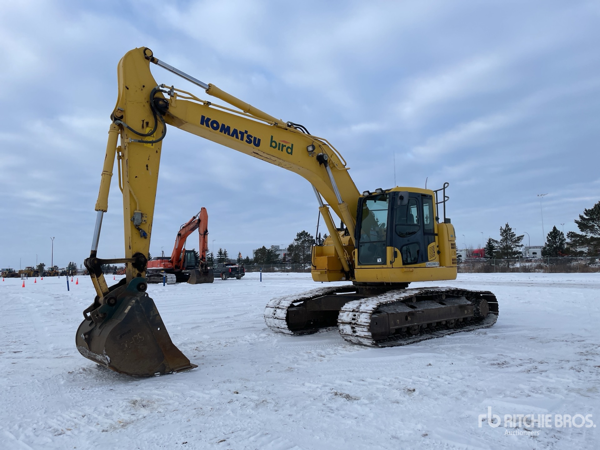 General Appearance with Spin