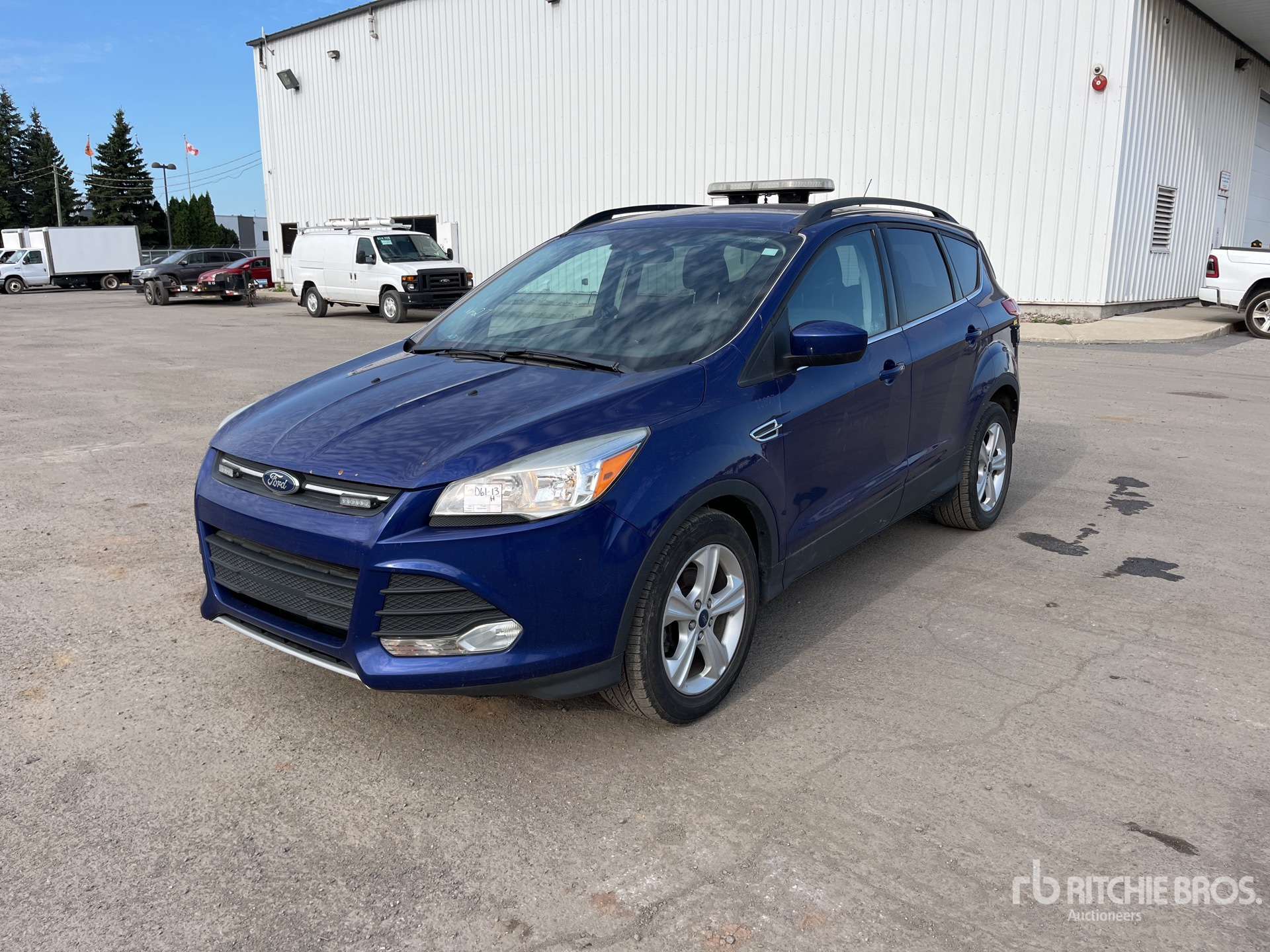 General Appearance with Spin