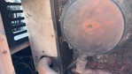Engine with Exhaust System