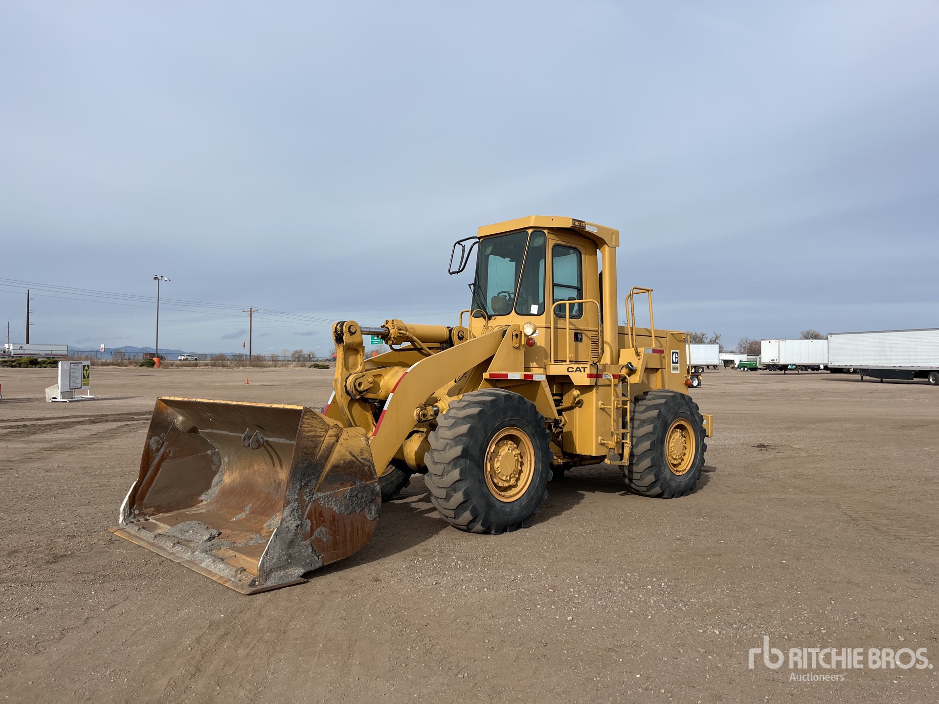 General Appearance with Spin